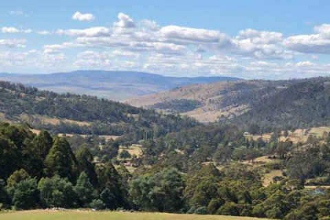 Sassafras Springs - Mackay Tourism 6