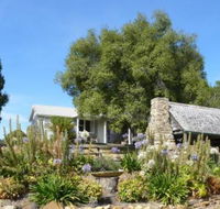 Sassafras Springs - Mackay Tourism