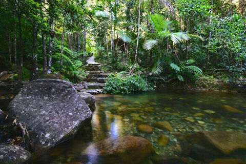 Daintree Cascades - Mackay Tourism 2