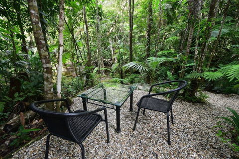 Daintree Cascades - Mackay Tourism 4