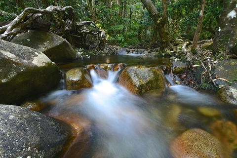 Daintree Cascades - Mackay Tourism 1