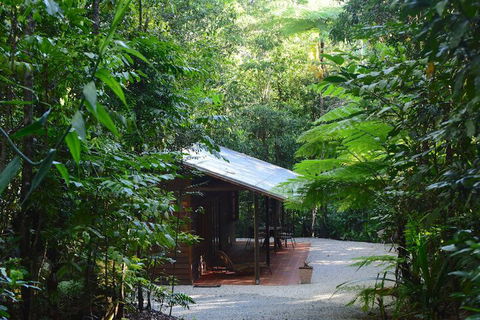 Daintree Cascades - Mackay Tourism 3