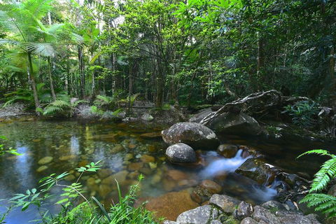 Daintree Cascades - Mackay Tourism 5