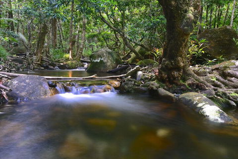 Daintree Cascades - Mackay Tourism 6