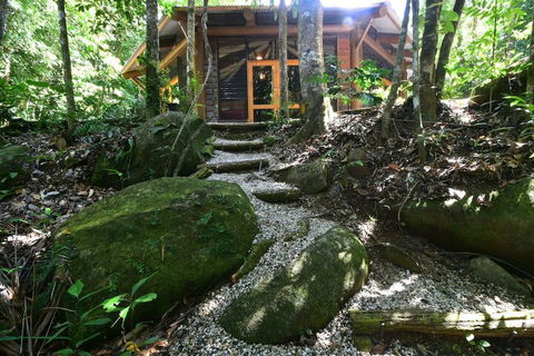 Daintree Cascades - Mackay Tourism 7