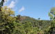 Whitsundays Rainforest Retreat - thumb 5