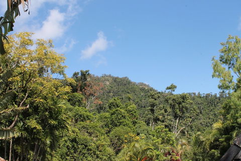 Whitsundays Rainforest Retreat - Mackay Tourism 5