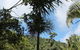 Whitsundays Rainforest Retreat - thumb 3