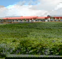 Turners Vineyard Motel and Function Centre - Mackay Tourism