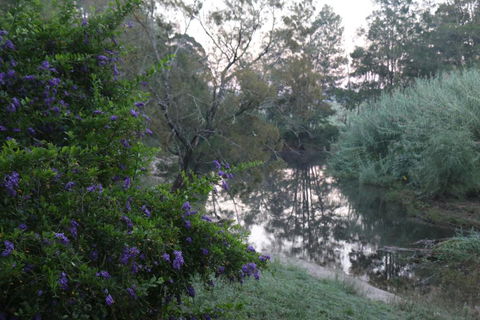 Serendipity On Allyn - Mackay Tourism 7