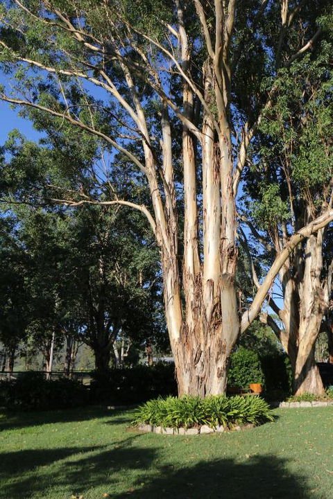 Serendipity On Allyn - Mackay Tourism 5