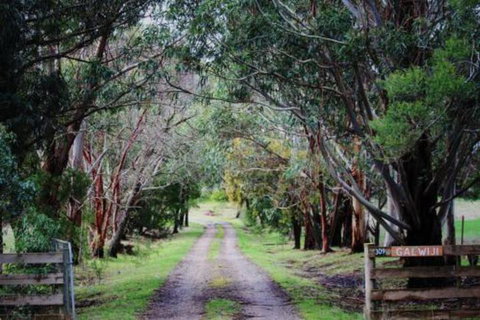 Galwiji Homestead - Mackay Tourism 7
