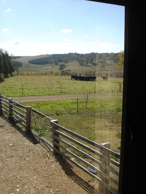 Black Sheep Inn - Mackay Tourism 3