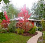 Dalrymples Guest Cottages - Mackay Tourism