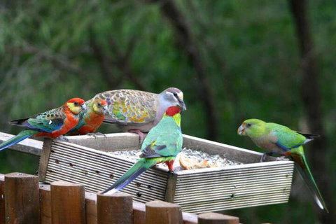 Honeymoon View - Mackay Tourism 5