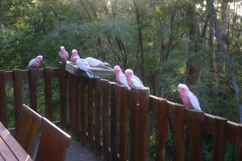 Honeymoon View - Mackay Tourism 3