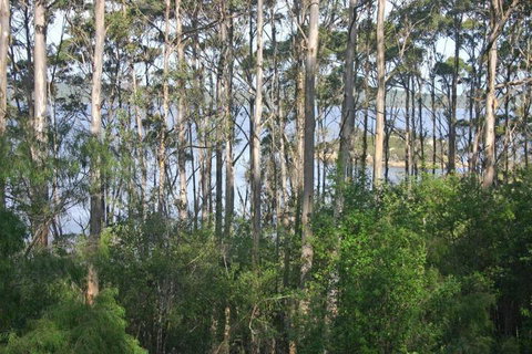 Honeymoon View - Mackay Tourism 7