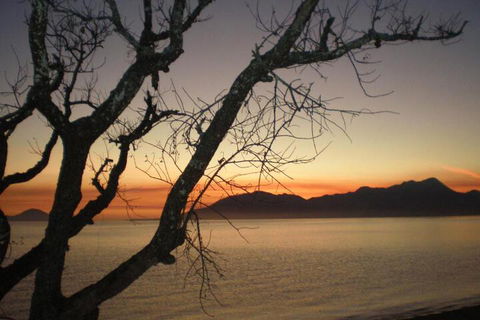 Daintree Village Hideaway - Mackay Tourism 3