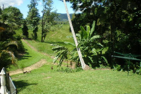 Daintree Village Hideaway - Mackay Tourism 5