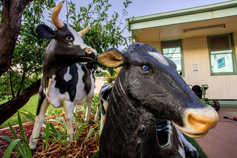 Big4 Shepparton Park Lane - Mackay Tourism 0