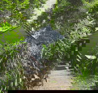 Montagues of Montville - Mackay Tourism