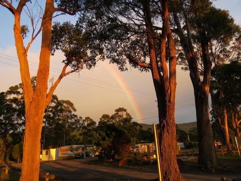 Captain Cook Holiday Park - Mackay Tourism 5