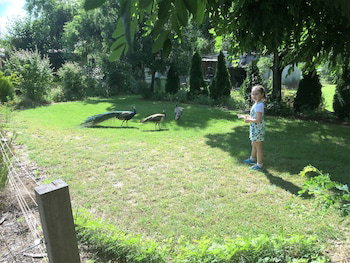 Windswept Country Retreat - Mackay Tourism 0