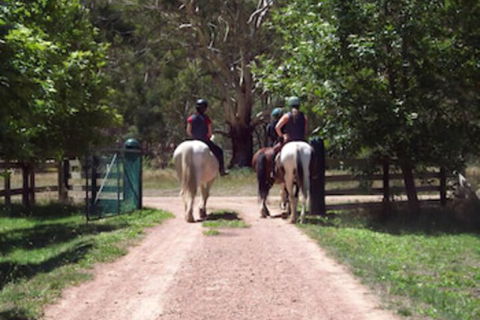 Halls On Falls Homestead - Mackay Tourism 3