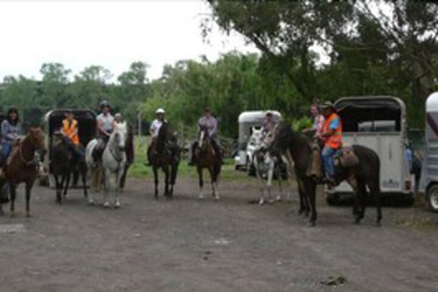 Happy Days Accommodation - Mackay Tourism 2
