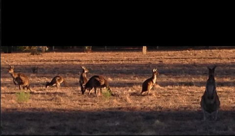 Busselton Guest House - Mackay Tourism 3