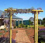 Lavendale Farmstay  Cottages York - Mackay Tourism