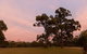 Hunter Hideaway Cottages - thumb 4