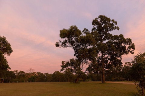 Hunter Hideaway Cottages - Mackay Tourism 4