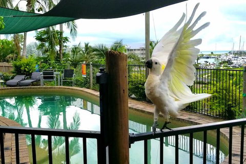 Backpackers By The Bay - Mackay Tourism 3