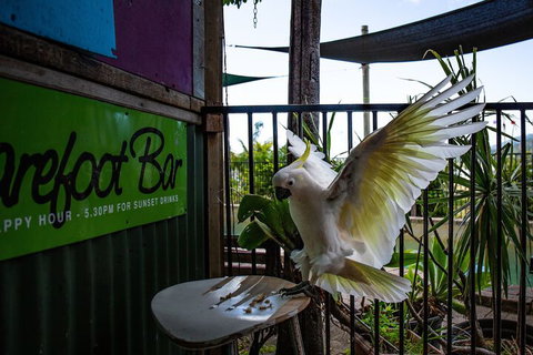 Backpackers By The Bay - Mackay Tourism 2