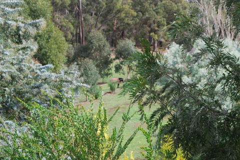 Riverwood Retreat - Mackay Tourism 4