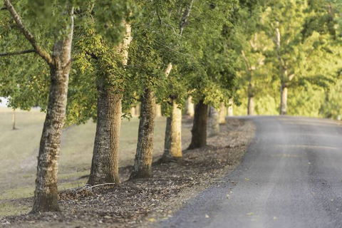 Clarendon Forest Retreat - Mackay Tourism 3