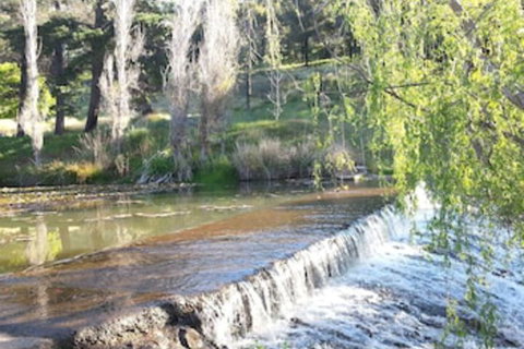 Avocados Accommodation - Mackay Tourism 0