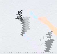 The Sails Motel Brunswick Heads - Mackay Tourism