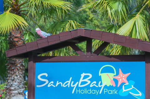 Sandy Bay Holiday Park - Mackay Tourism 0