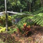 Kuranda QLD Mackay Tourism