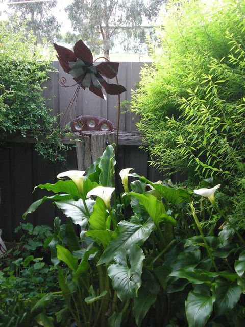 C & As Cottage - Mackay Tourism 2