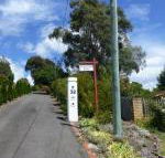 Protea Hill - Mackay Tourism