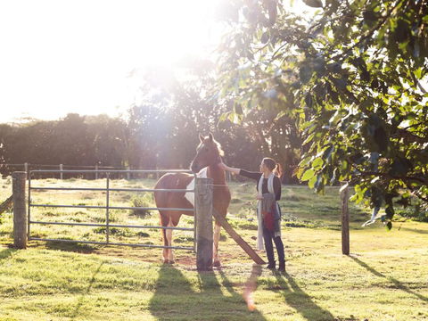 Bridle Guesthouse - Mackay Tourism 6