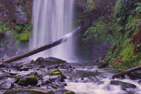 Southern Anchorage Retreat - Mackay Tourism 4