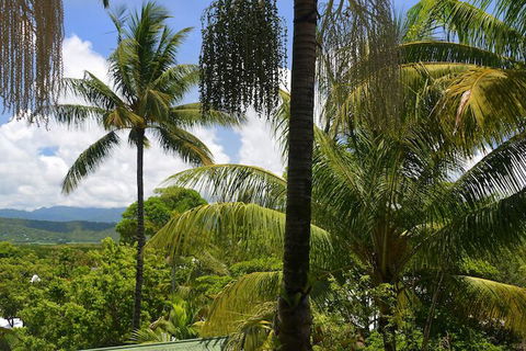 Monsoon Villa B - Mackay Tourism 5