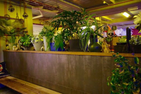 Sow And Piglets Guesthouse - Mackay Tourism 0