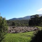Mafeking ACT Mackay Tourism