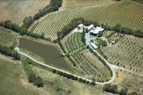Patly Hill Farm - Mackay Tourism 1