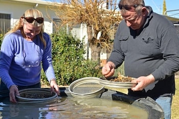 Fossicker Caravan Park - Mackay Tourism 1